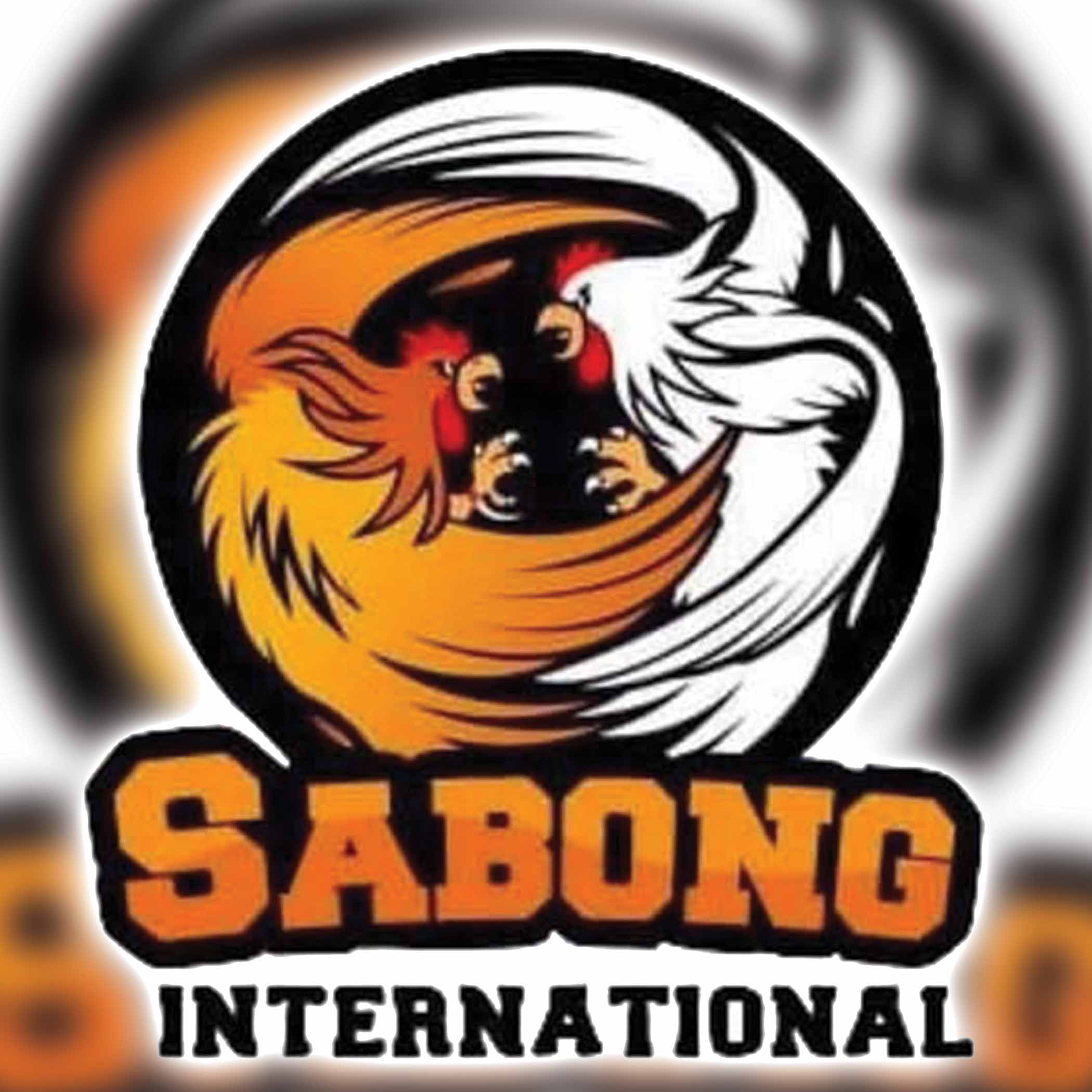 sabong international image.