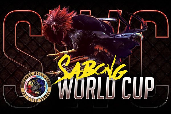SWC Featured Image